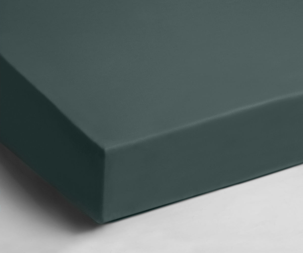 Hoeslaken - jersey - 190/200x200/220 cm