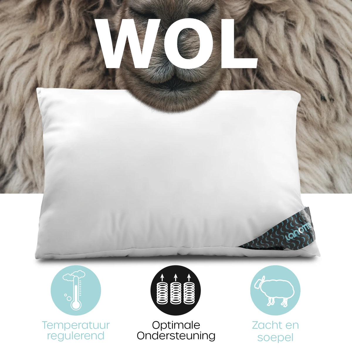 Lanotte® hoofdkussen - 100% wol vulling - 60x70 cm