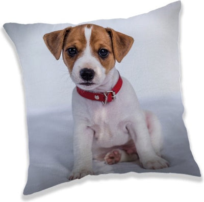Jack Russell Kussentje